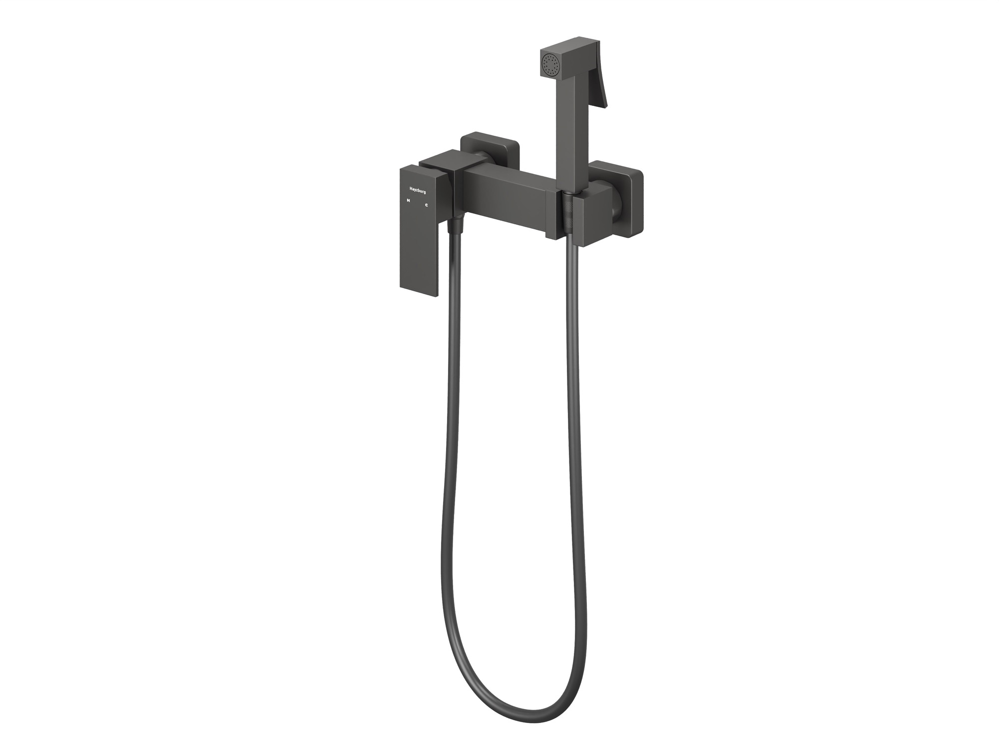 HB-1006GG Стальной Серый гигиенический душ