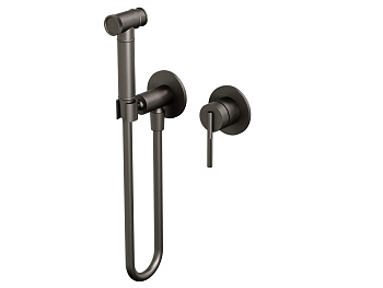 HB-4005-2GG Стальной Серый Встраиваемый гигиенический душ